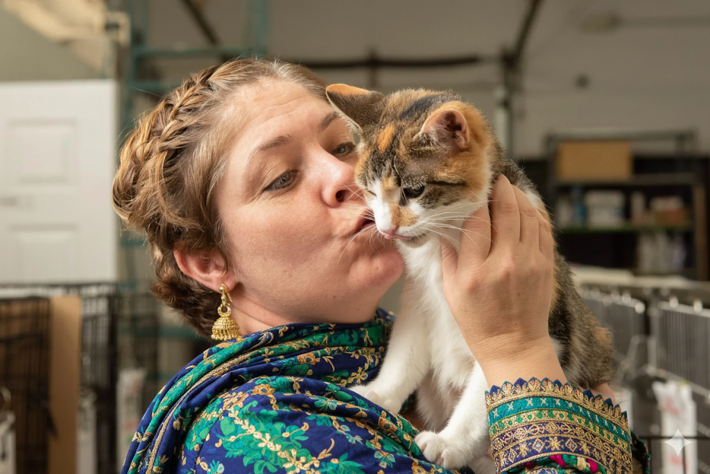 another cat adopted